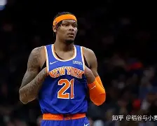 官网入口-尼克斯主场告捷，尼日尔斯特砍下+的简单介绍