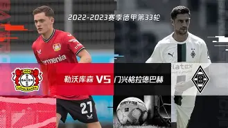 APP官方下载-包含勒沃库森在主场比赛中爆冷击败强敌的词条